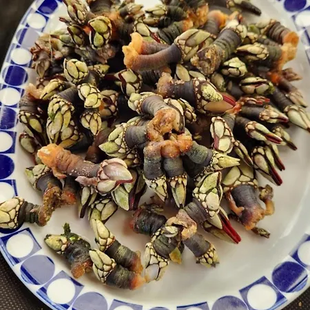 Casa de hóspedes Genesis