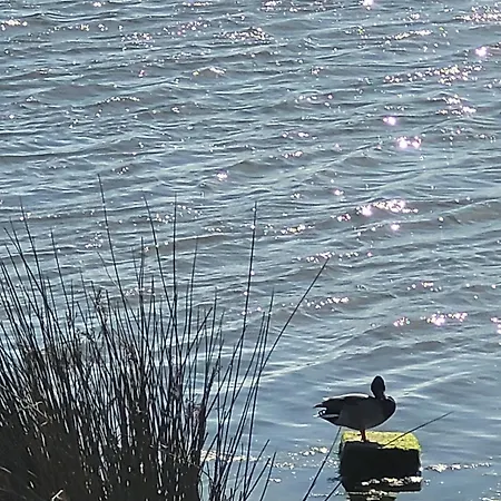 Casa de hóspedes Genesis 4*