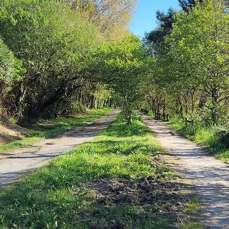 Genesis Casa de hóspedes Valdoviño