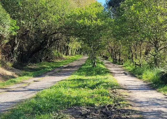 Genesis Konukevi Valdoviño